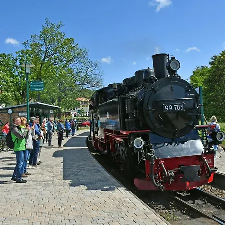 Daire Park-ferienwohnungen Ostseebad 500 M Zum