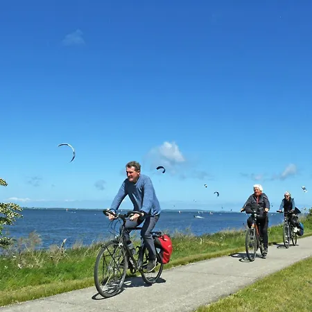 Daire Park-ferienwohnungen Ostseebad 500 M Zum Sellin (Rugen)